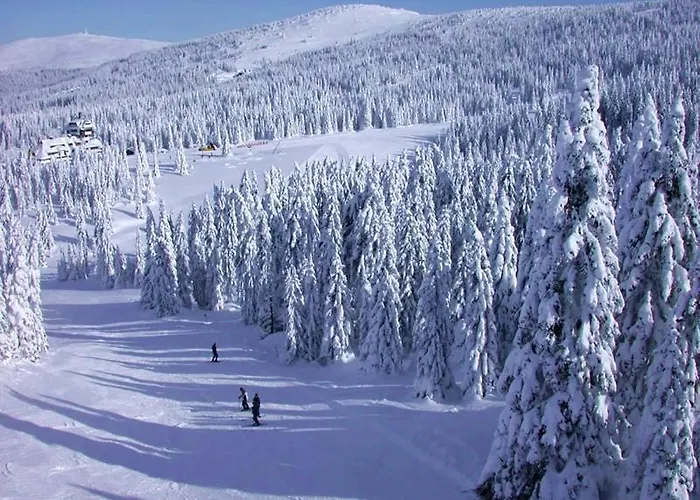 Treska Kop * Kopaonik
